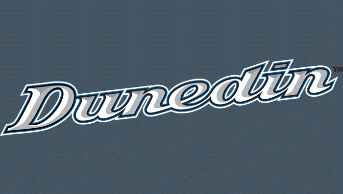 Dunedin Blue Jays 2004-2011 Wordmark Logo 2 iron on paper